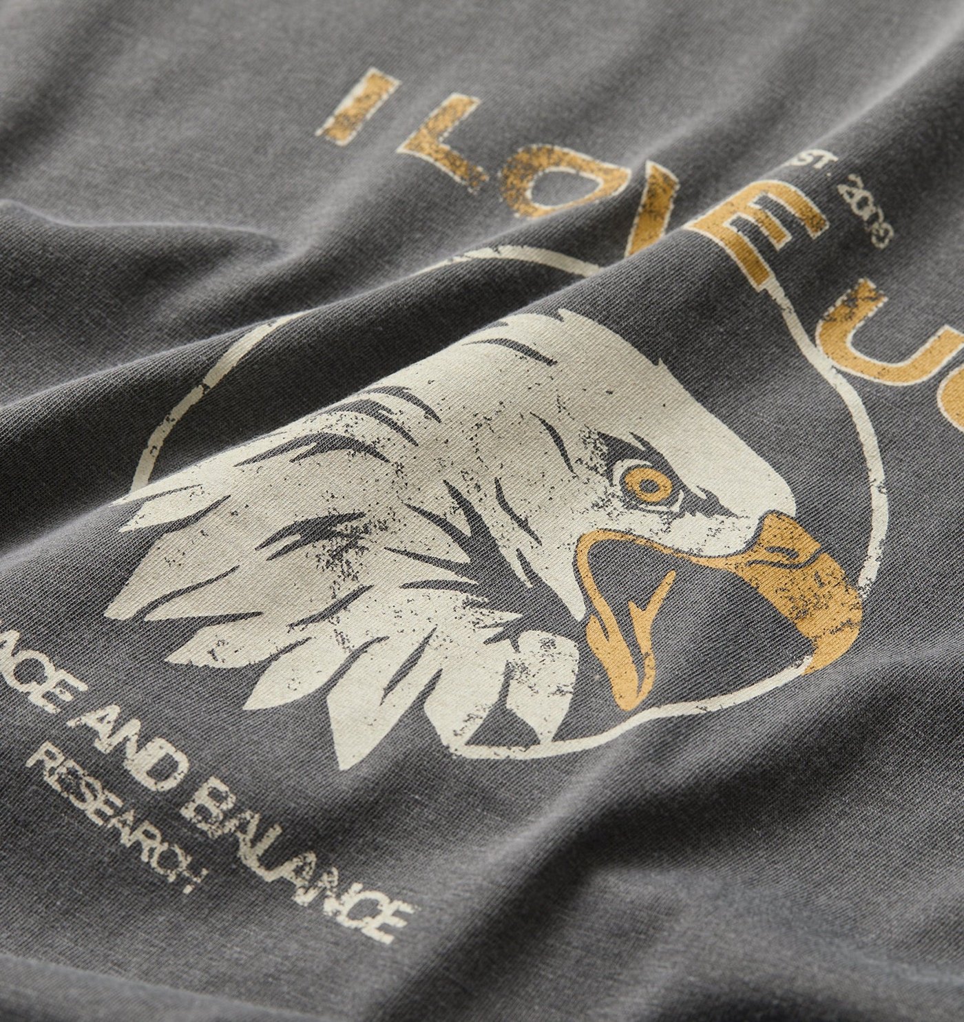 Close-up of the distressed eagle print